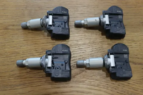 Article GP53